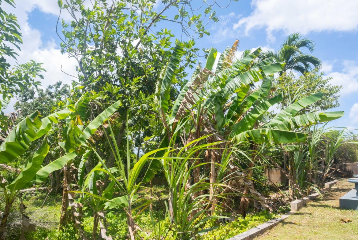 Twenty-Sixth image of Lot 98, 10 Reservoir Heights, Ingles in Mandeville, Manchester, Jamaica - property is For Sale