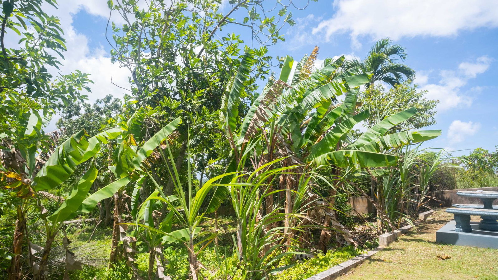Elegant-5-Bedroom-House-for-Sale-in-Ingleside-Mandeville-Jamaica Twenty-Sixth image of Lot 98, 10 Reservoir Heights, Ingles in Mandeville, Manchester, Jamaica - property is For Sale