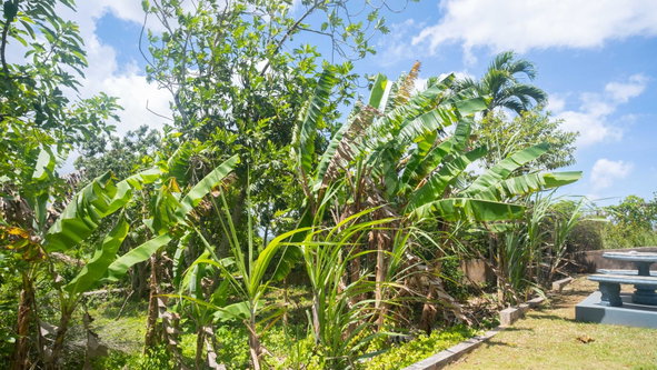 Twenty-Sixth image of Lot 98, 10 Reservoir Heights, Ingles in Mandeville, Manchester, Jamaica - property is For Sale