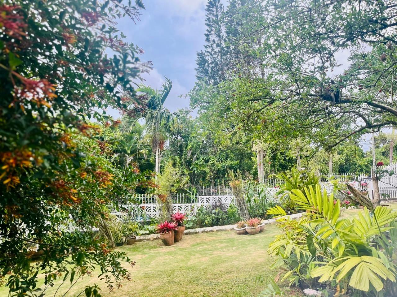 Twenty-Second image of Lot#3-4 West Palm Gardens in Brumalia, Manchester, Jamaica - property is For Sale