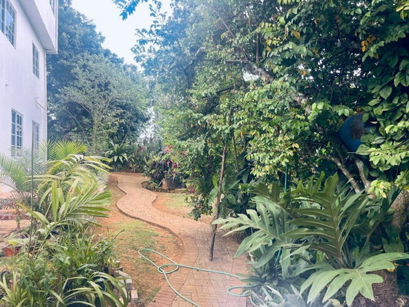 Twenty-Third image of Lot#3-4 West Palm Gardens in Brumalia, Manchester, Jamaica - property is For Sale
