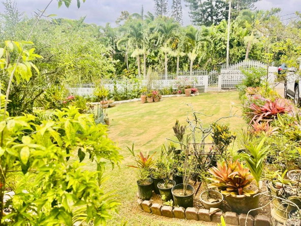 Twenty-Fourth image of Lot#3-4 West Palm Gardens in Brumalia, Manchester, Jamaica - property is For Sale