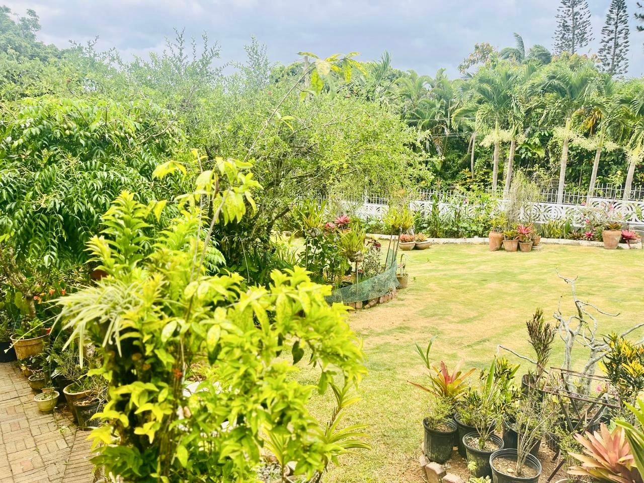 Twenty-Sixth image of Lot#3-4 West Palm Gardens in Brumalia, Manchester, Jamaica - property is For Sale