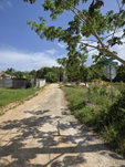 First image of Lot 10 Part of Warwick Mount in Breadnut Hill, St. Ann, Jamaica - property is For Sale