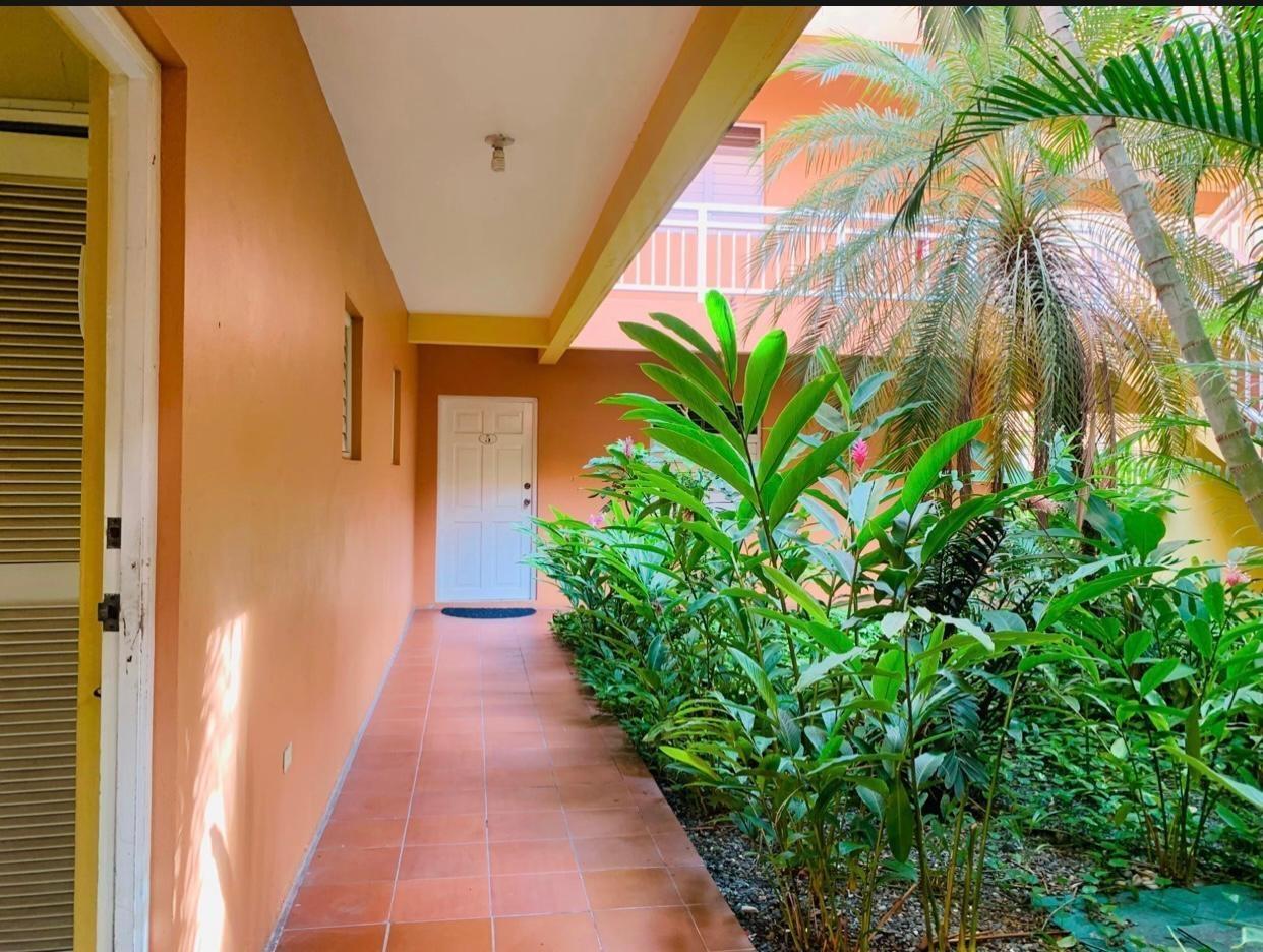 Fixer-Upper-2-Bedroom-Apartment-for-Sale-in-Golden-Triangle-Kingston-Jamaica Sixth image of a4 The Gladstone, Kingston in Kingston 10, St. Andrew, Jamaica - property is For Sale