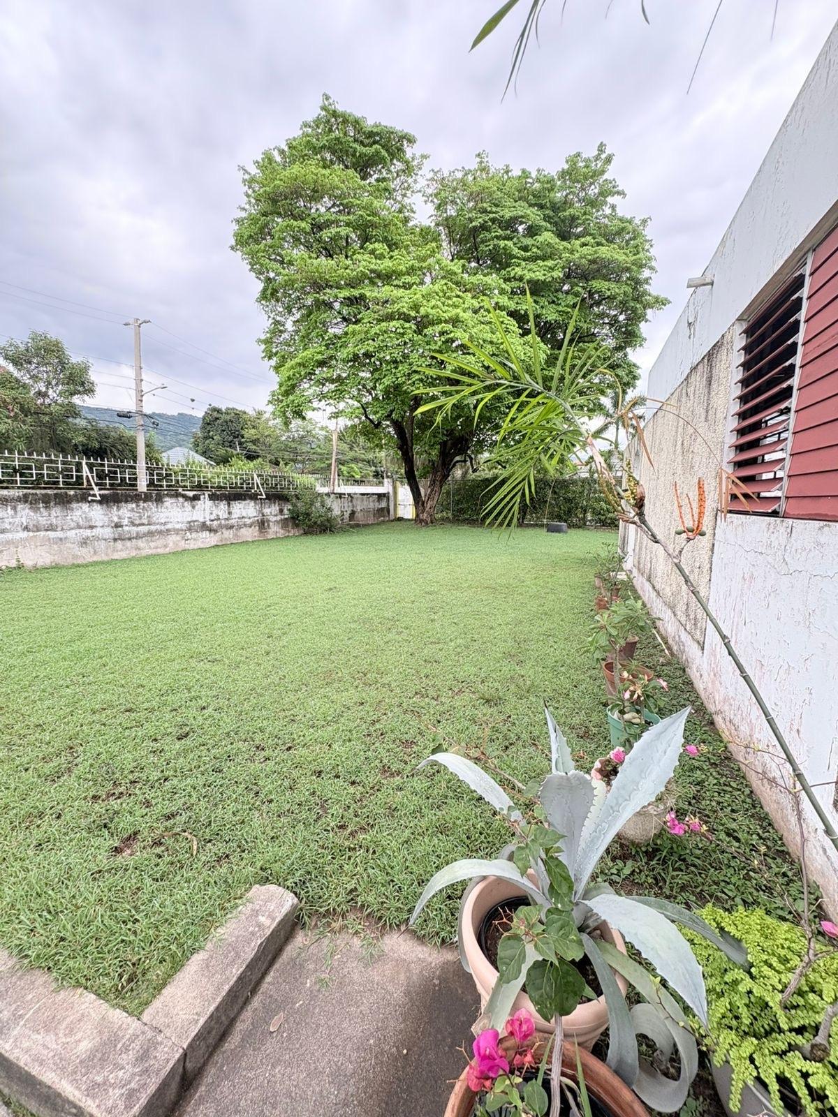 Eleventh image of 7 Allerdyce Road Kgn8 Jam in Constant Spring P.O., St. Andrew, Jamaica - property is For Sale