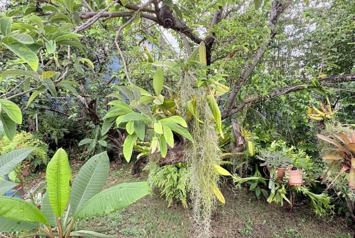 Ninth image of 7 Allerdyce Road Kgn8 Jam in Constant Spring P.O., St. Andrew, Jamaica - property is For Sale