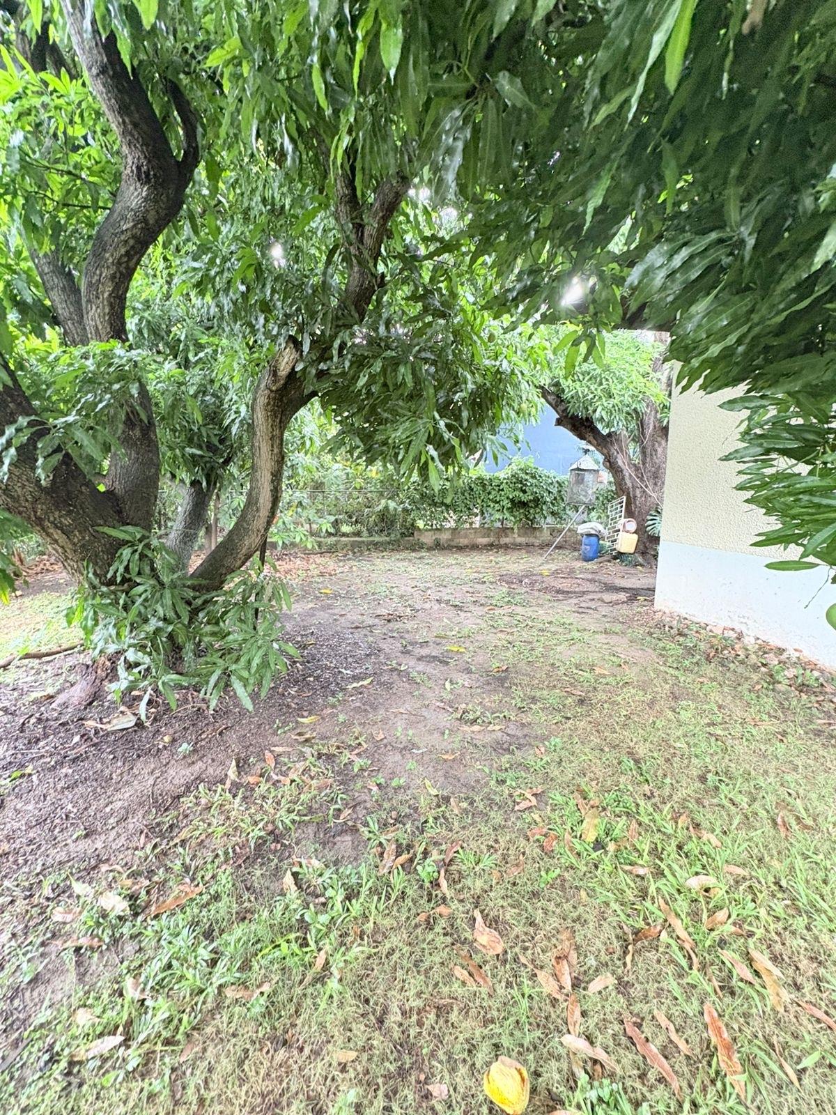 Tenth image of 7 Allerdyce Road Kgn8 Jam in Constant Spring P.O., St. Andrew, Jamaica - property is For Sale