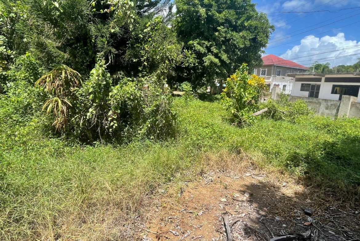 First image of Land Part of Wallens, Tim in Linstead, St. Catherine, Jamaica - property is For Sale