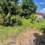 First image of Land Part of Wallens, Tim in Linstead, St. Catherine, Jamaica - property is For Sale