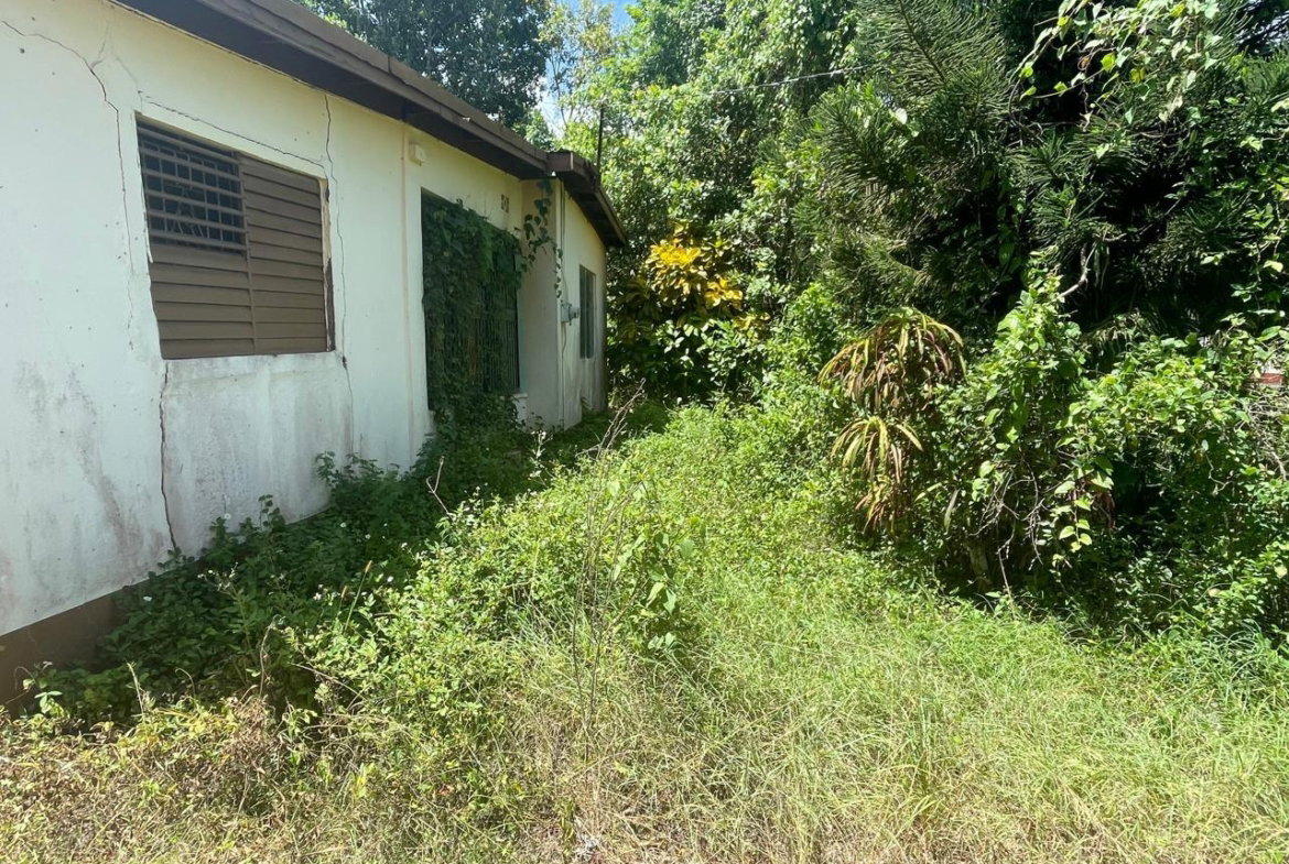 Third image of Land Part of Wallens, Tim in Linstead, St. Catherine, Jamaica - property is For Sale