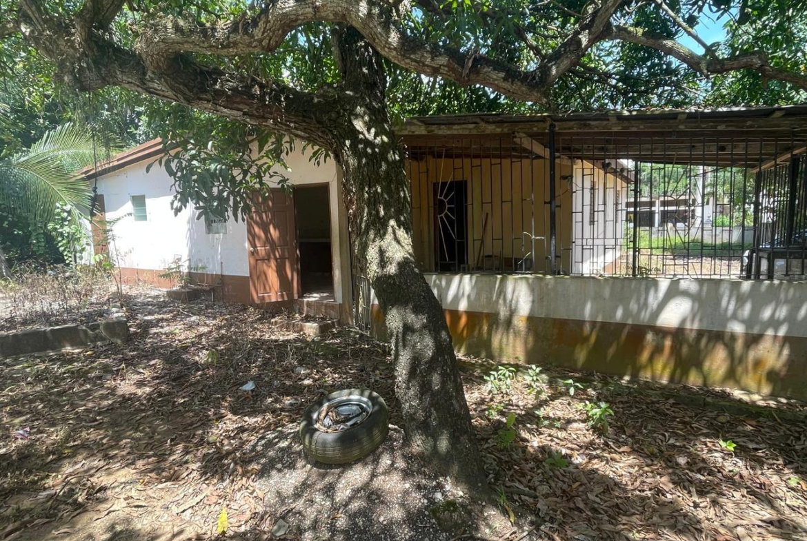 Fourth image of Land Part of Wallens, Tim in Linstead, St. Catherine, Jamaica - property is For Sale