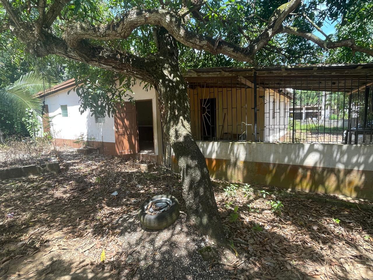 Fourth image of Land Part of Wallens, Tim in Linstead, St. Catherine, Jamaica - property is For Sale
