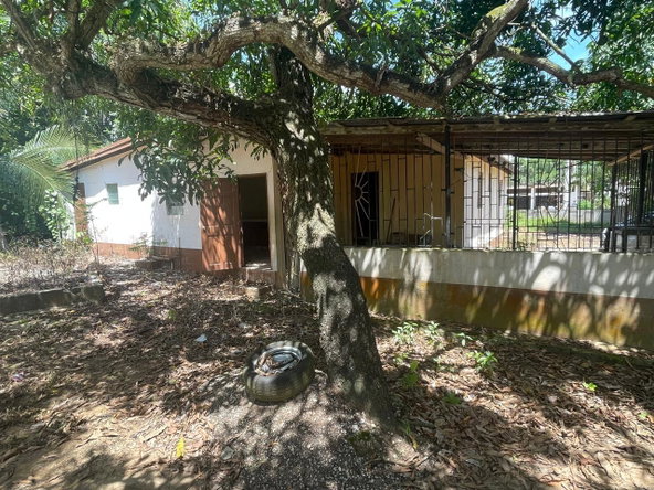 Fourth image of Land Part of Wallens, Tim in Linstead, St. Catherine, Jamaica - property is For Sale
