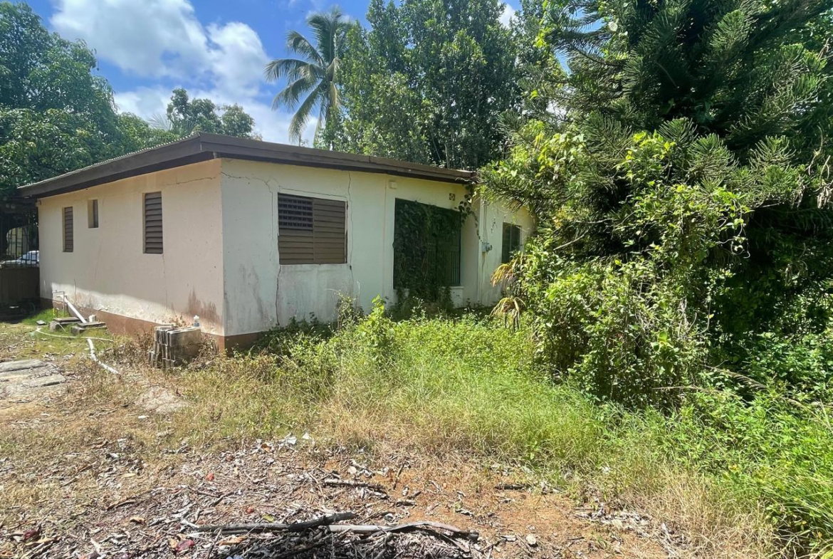 Fifth image of Land Part of Wallens, Tim in Linstead, St. Catherine, Jamaica - property is For Sale