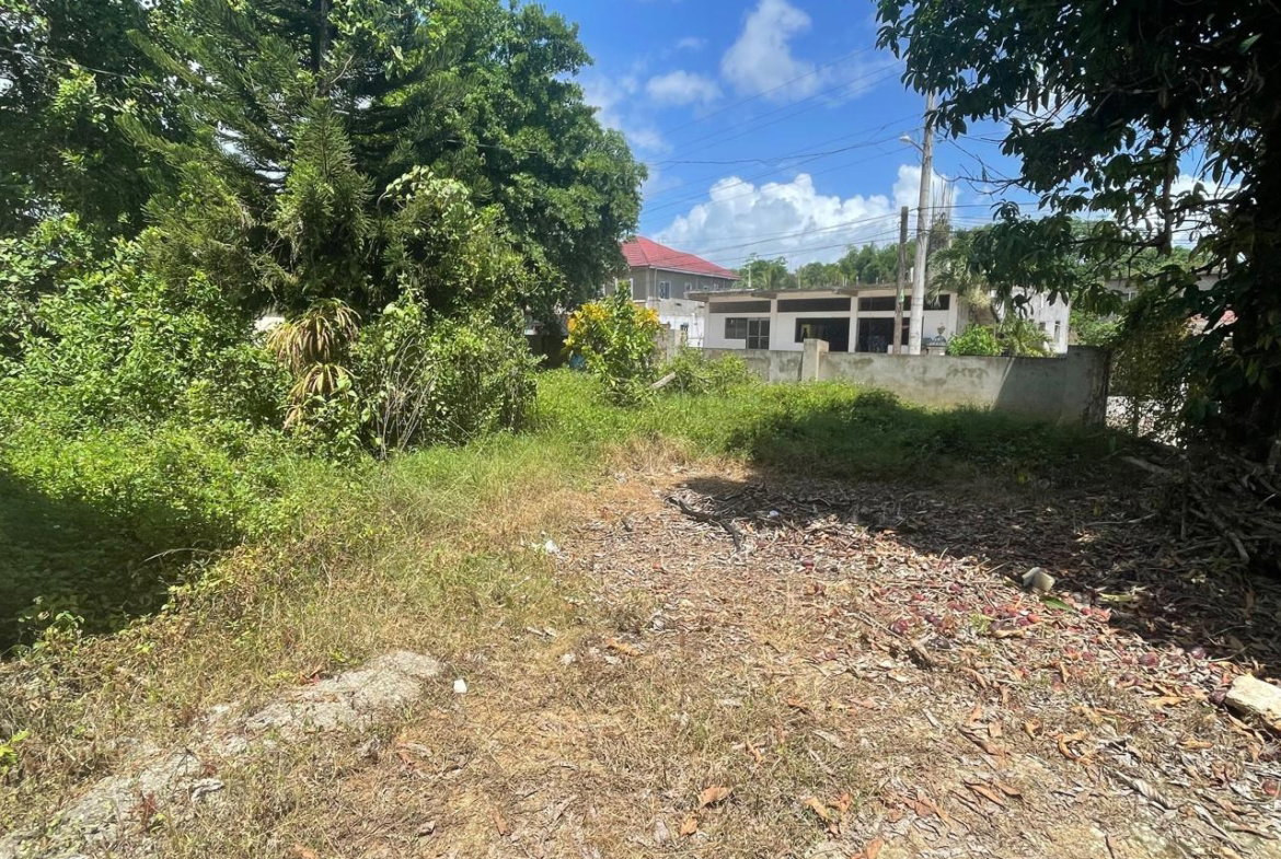 Sixth image of Land Part of Wallens, Tim in Linstead, St. Catherine, Jamaica - property is For Sale