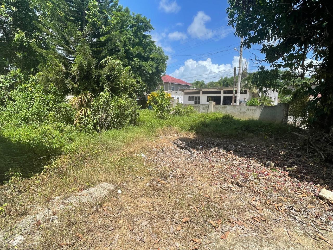 Sixth image of Land Part of Wallens, Tim in Linstead, St. Catherine, Jamaica - property is For Sale