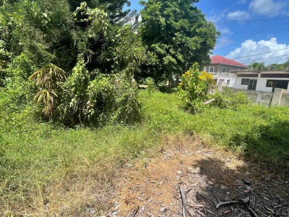 First image of Land Part of Wallens, Tim in Linstead, St. Catherine, Jamaica - property is For Sale