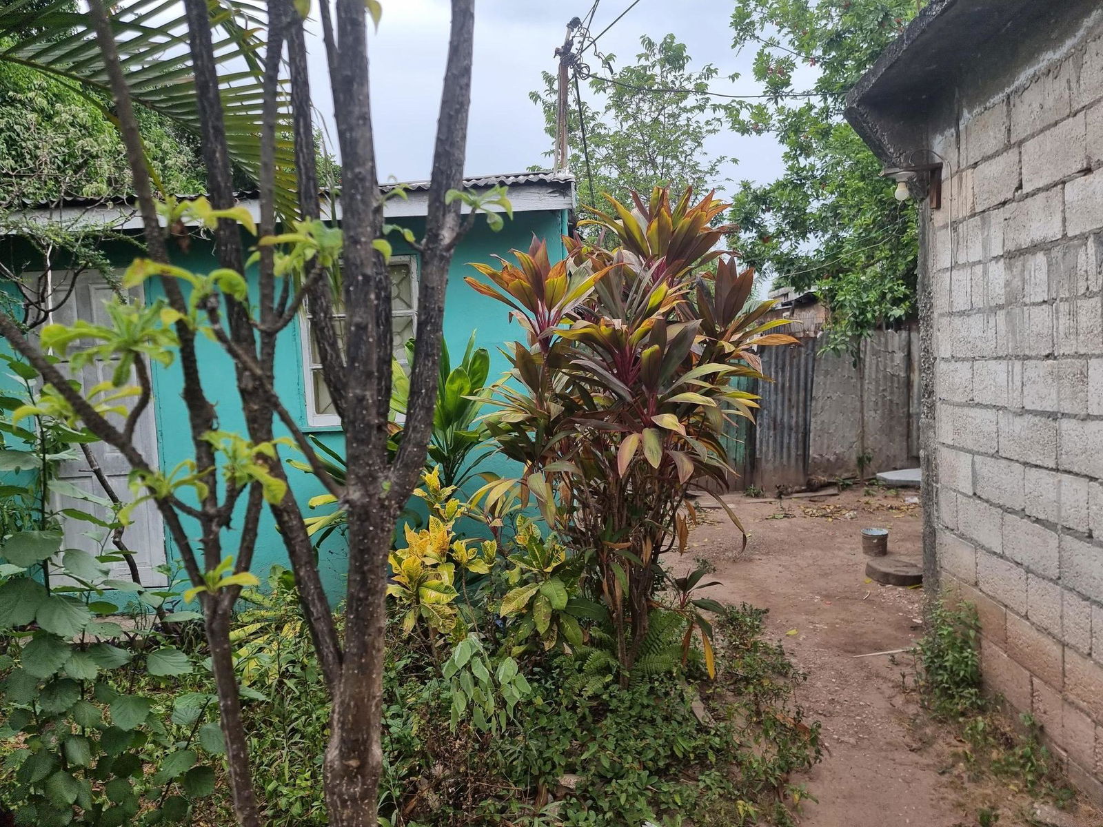 Fixer-Upper-House-for-Sale-in-Kingston-11-Balmagie-Avenue-St.-Andrew Fourth image of 34 Balmagie, Lot 150 Penwood in Kingston 11, St. Andrew, Jamaica - property is For Sale