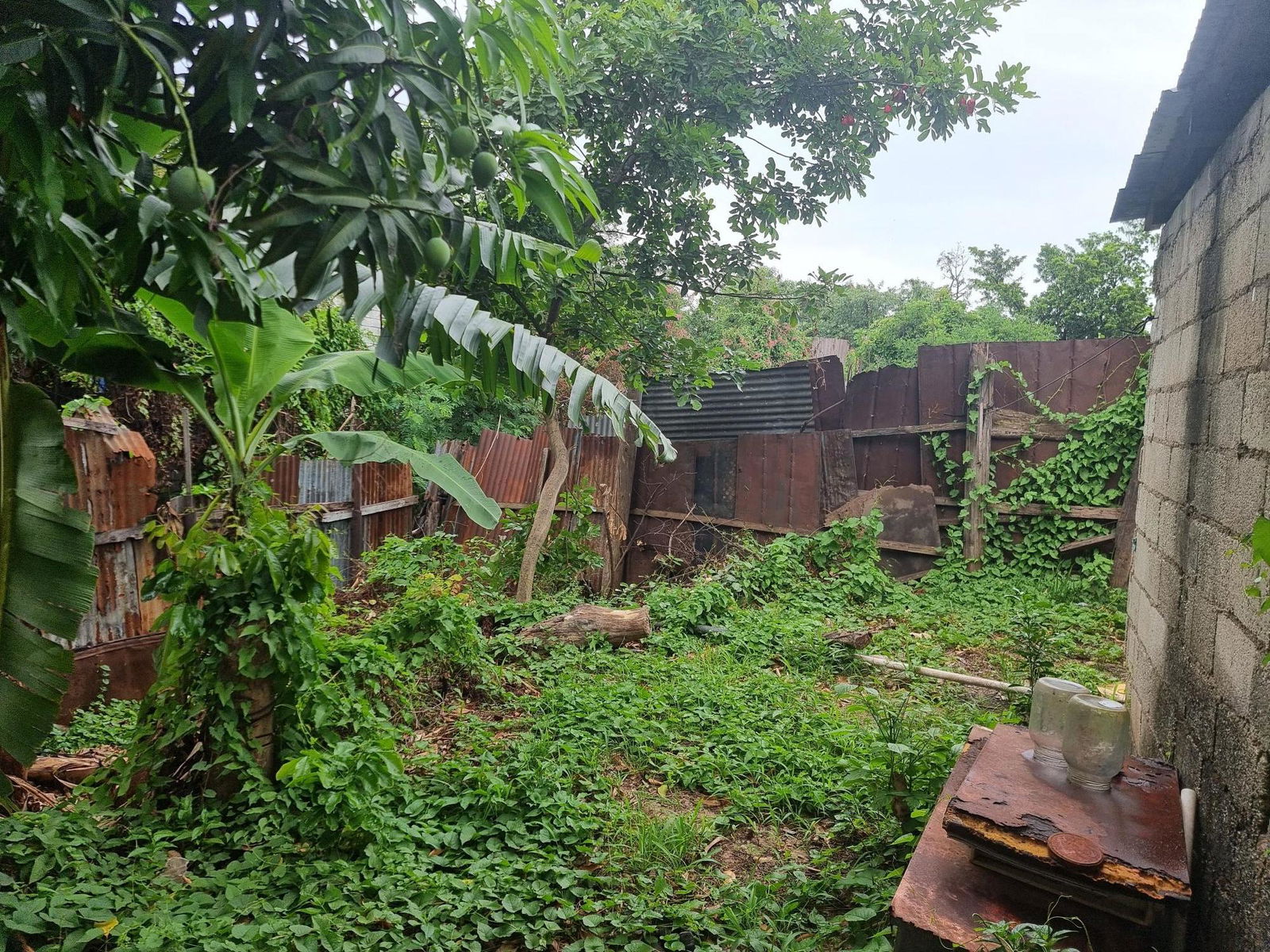 Fixer-Upper-House-for-Sale-in-Kingston-11-Balmagie-Avenue-St.-Andrew Seventh image of 34 Balmagie, Lot 150 Penwood in Kingston 11, St. Andrew, Jamaica - property is For Sale