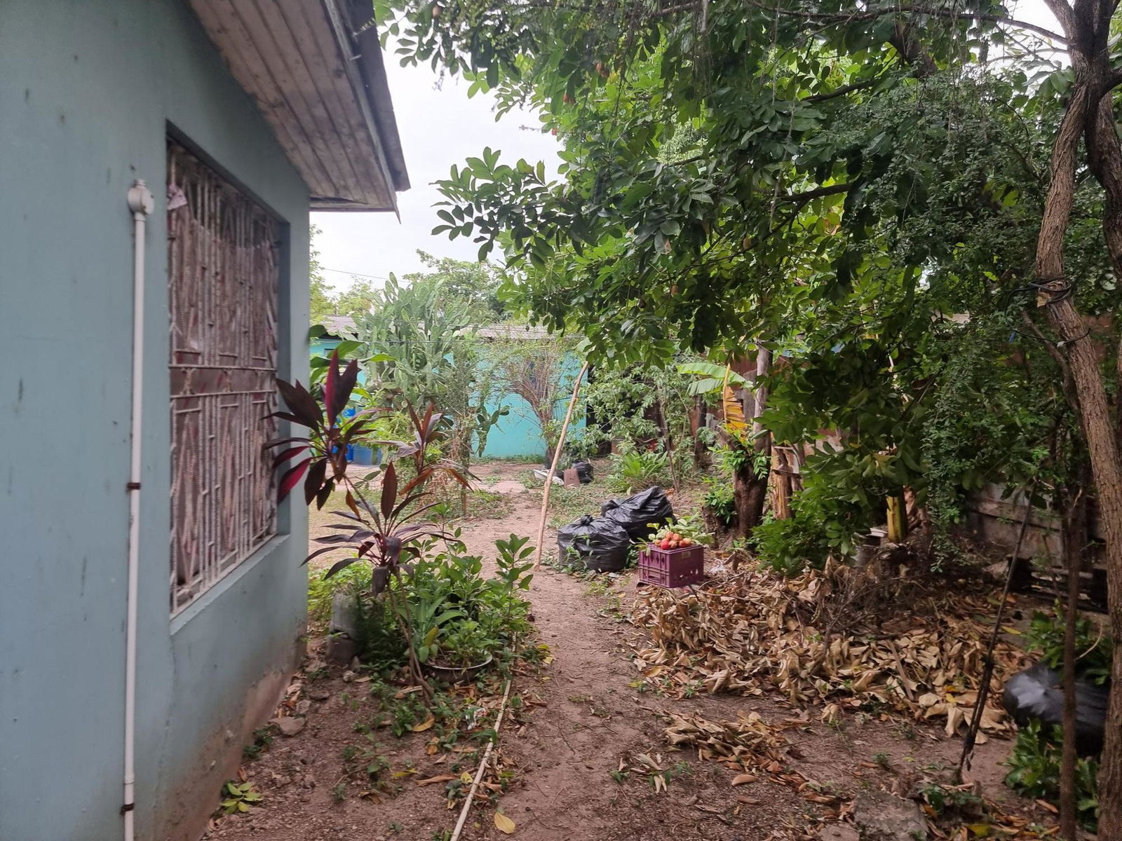 Fixer-Upper-House-for-Sale-in-Kingston-11-Balmagie-Avenue-St.-Andrew Eighth image of 34 Balmagie, Lot 150 Penwood in Kingston 11, St. Andrew, Jamaica - property is For Sale