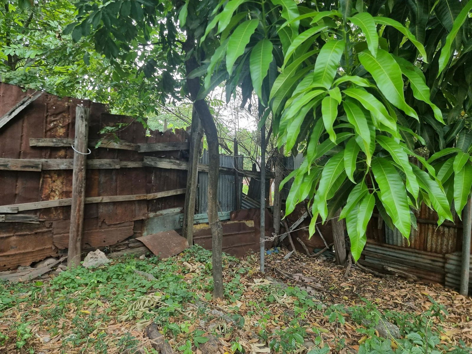 Fixer-Upper-House-for-Sale-in-Kingston-11-Balmagie-Avenue-St.-Andrew Ninth image of 34 Balmagie, Lot 150 Penwood in Kingston 11, St. Andrew, Jamaica - property is For Sale