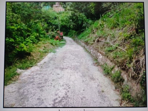 Third image of Maryland, Jackshill, St. in Kingston 6, St. Andrew, Jamaica - property is For Sale