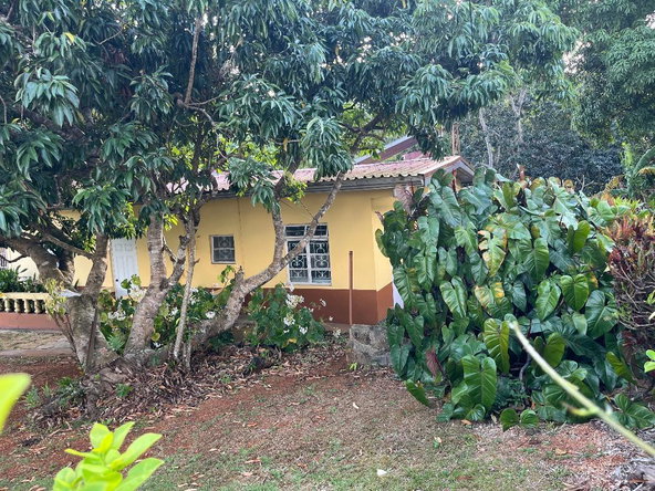 Second image of Bloomfield Street in Mandeville, Manchester, Jamaica - property is For Rent