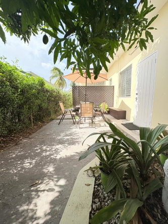 Fourth image of 4 Lords Road in Kingston 5, St. Andrew, Jamaica - property is For Rent