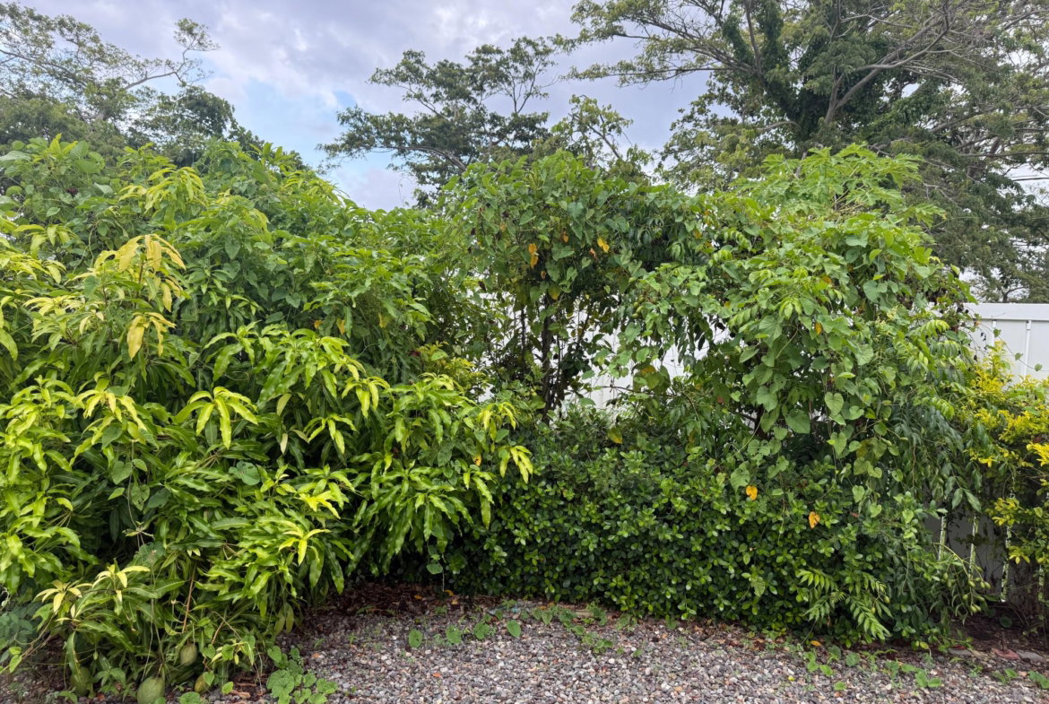 Twenty-Second image of 25 Seashore East in Lucea, Hanover, Jamaica - property is For Sale