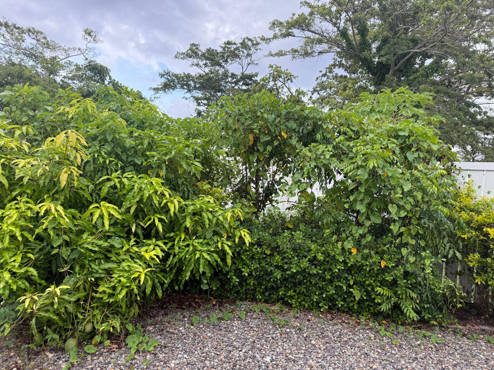 Furnished-2-Bedroom-Home-for-Sale-in-Oceanpointe-Hanover-Jamaica Twenty-Second image of 25 Seashore East in Lucea, Hanover, Jamaica - property is For Sale
