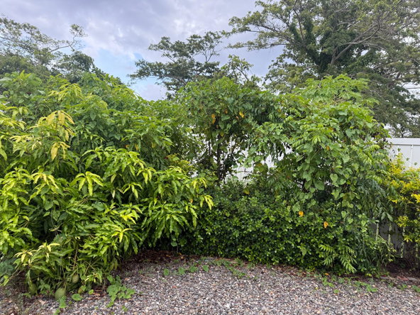 Twenty-Second image of 25 Seashore East in Lucea, Hanover, Jamaica - property is For Sale