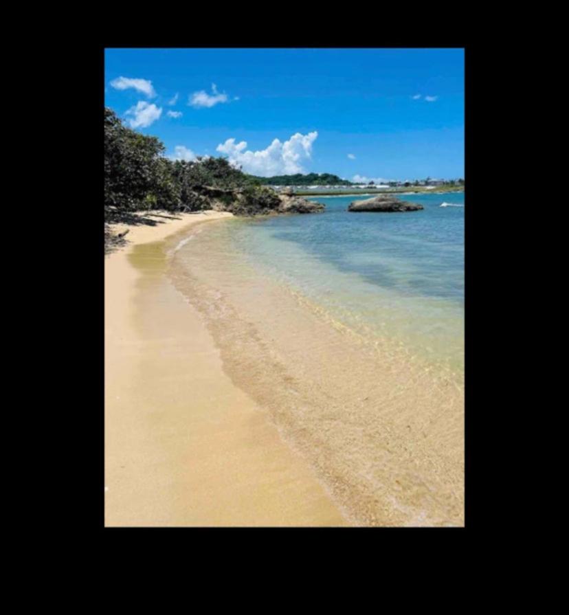 Twenty-First image of 82- Oceanpointe in Lucea, Hanover, Jamaica - property is For Rent