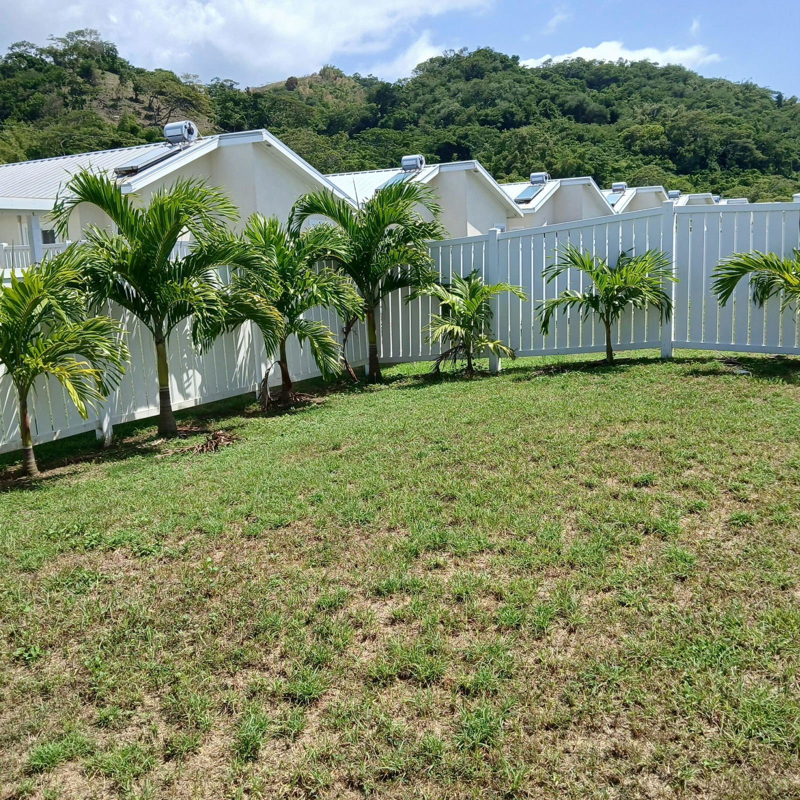 Fifth image of 145- Oceanpointe in Lucea, Hanover, Jamaica - property is For Rent