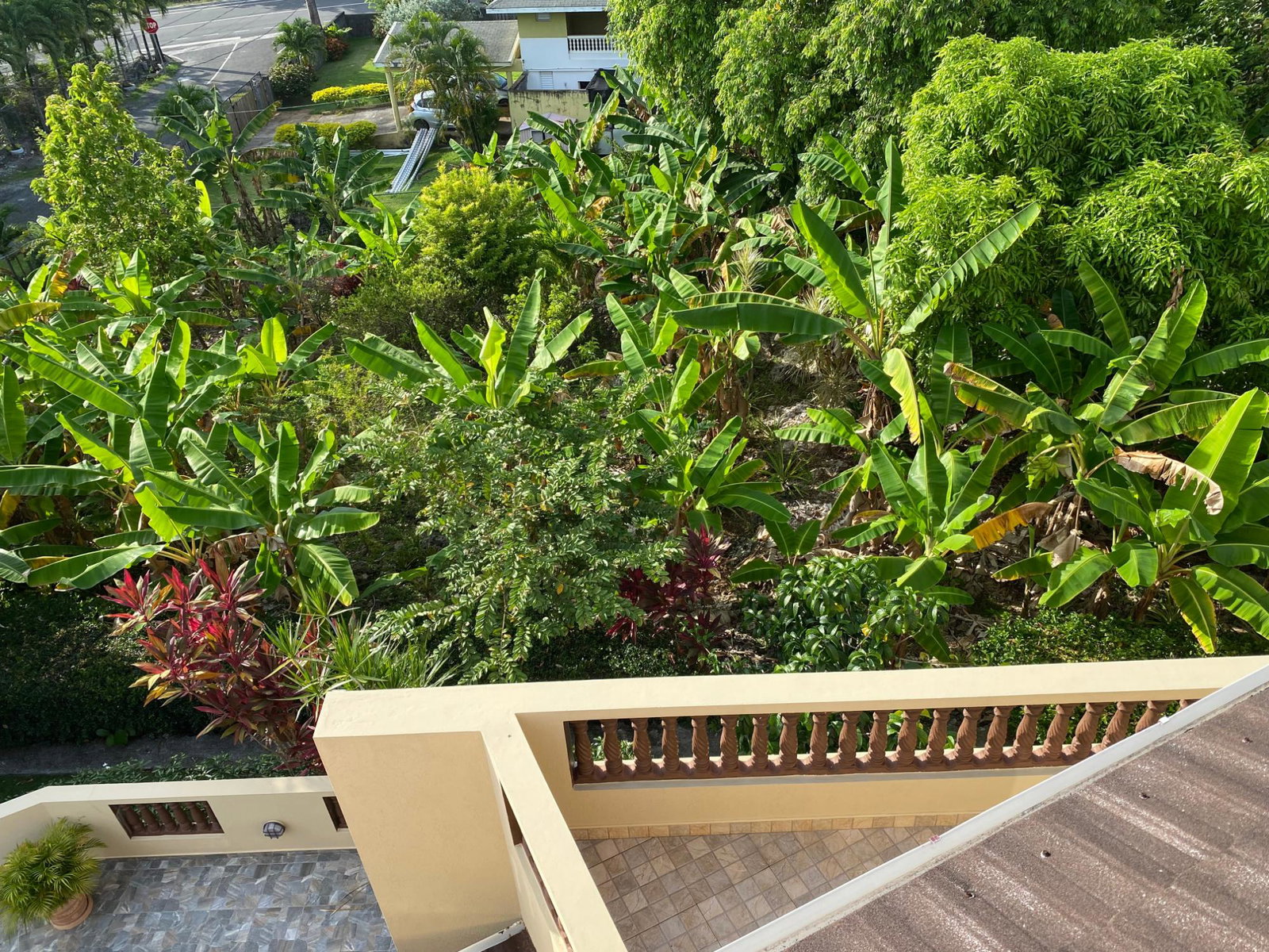 Thirtieth image of Munro Close in Port Antonio, Portland, Jamaica - property is For Sale