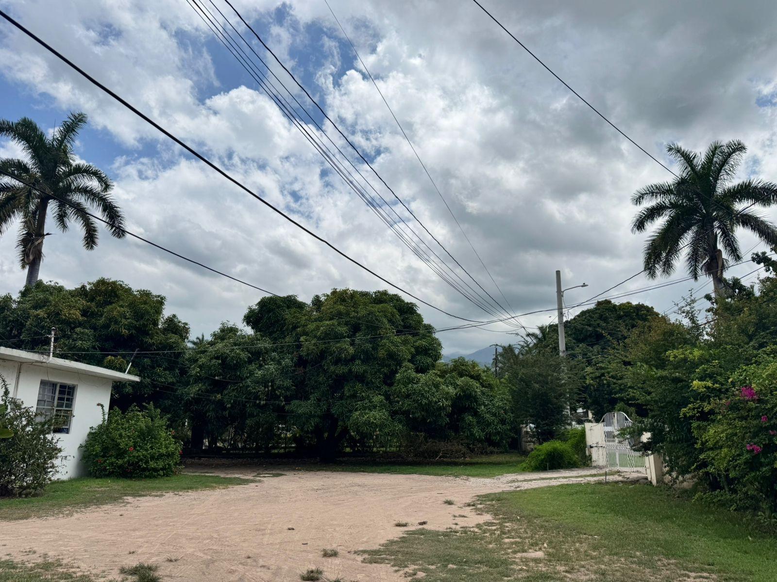 Fourth image of 49 University Crescent, Kgn in Kingston 6, St. Andrew, Jamaica - property is For Sale
