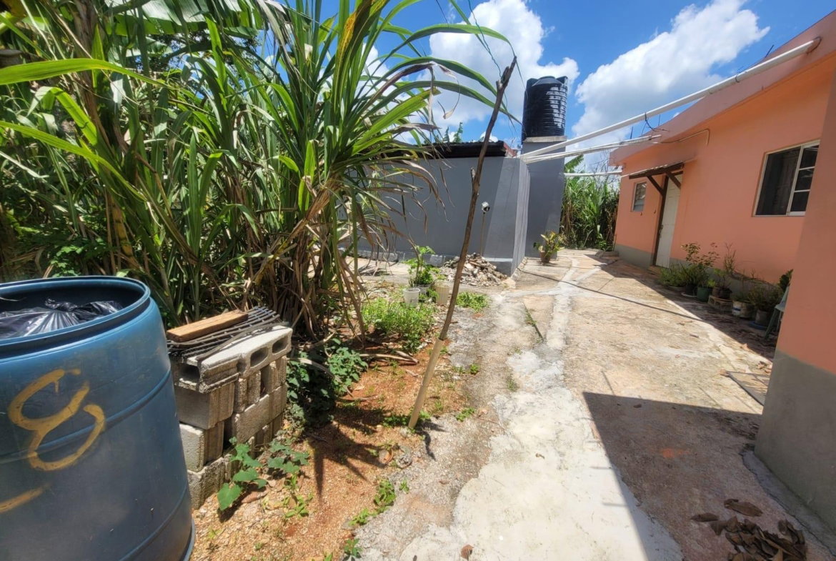 Twenty-Fourth image of Big Head Street Greenvale in Mandeville, Manchester, Jamaica - property is For Sale
