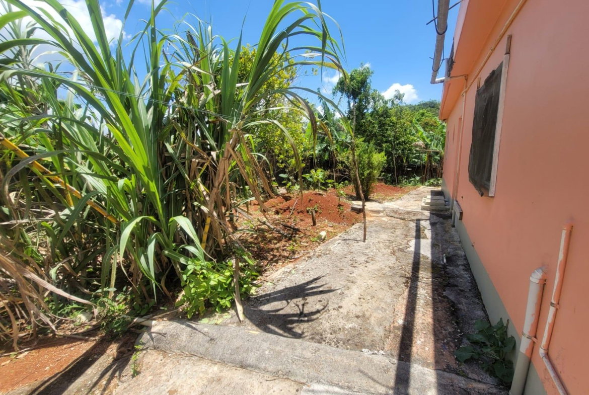 Twenty-Ninth image of Big Head Street Greenvale in Mandeville, Manchester, Jamaica - property is For Sale