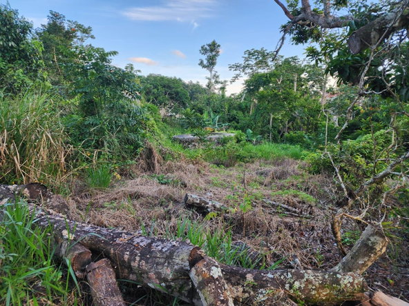 Eighth image of Lot 1 Knockpatrick in Knockpatrick, Manchester, Jamaica - property is For Sale