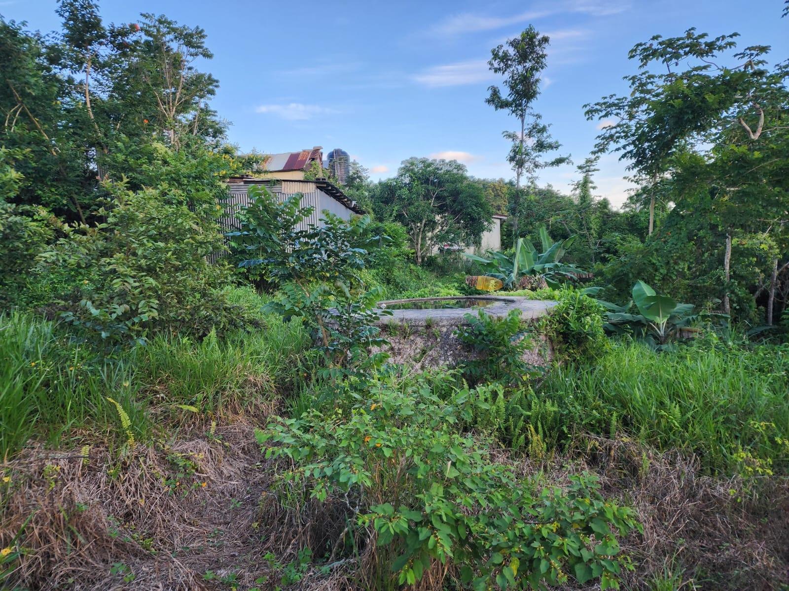 Ninth image of Lot 1 Knockpatrick in Knockpatrick, Manchester, Jamaica - property is For Sale
