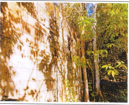 Second image of Land Pt- Simon, Sligoville in Sligoville, St. Catherine, Jamaica - property is For Sale