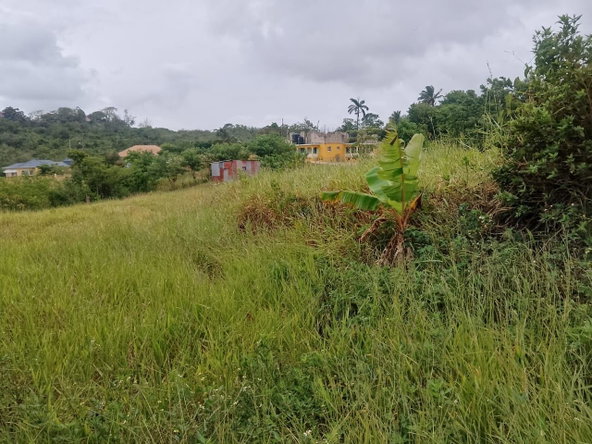 Fourth image of 40 Knockpatrick in Knockpatrick, Manchester, Jamaica - property is For Sale