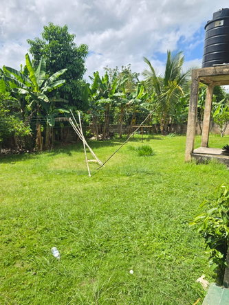 Twentieth image of Mile Gully District in MILE GULLY, Manchester, Jamaica - property is For Sale