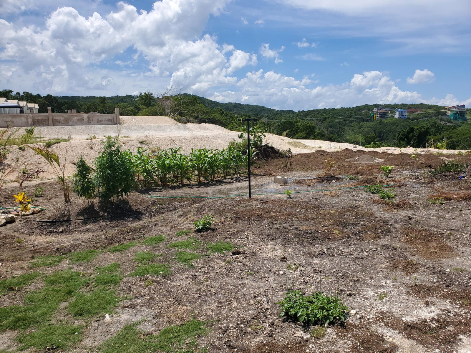 Twentieth image of Camelot Village ph 5 in Discovery Bay, St. Ann, Jamaica - property is For Rent