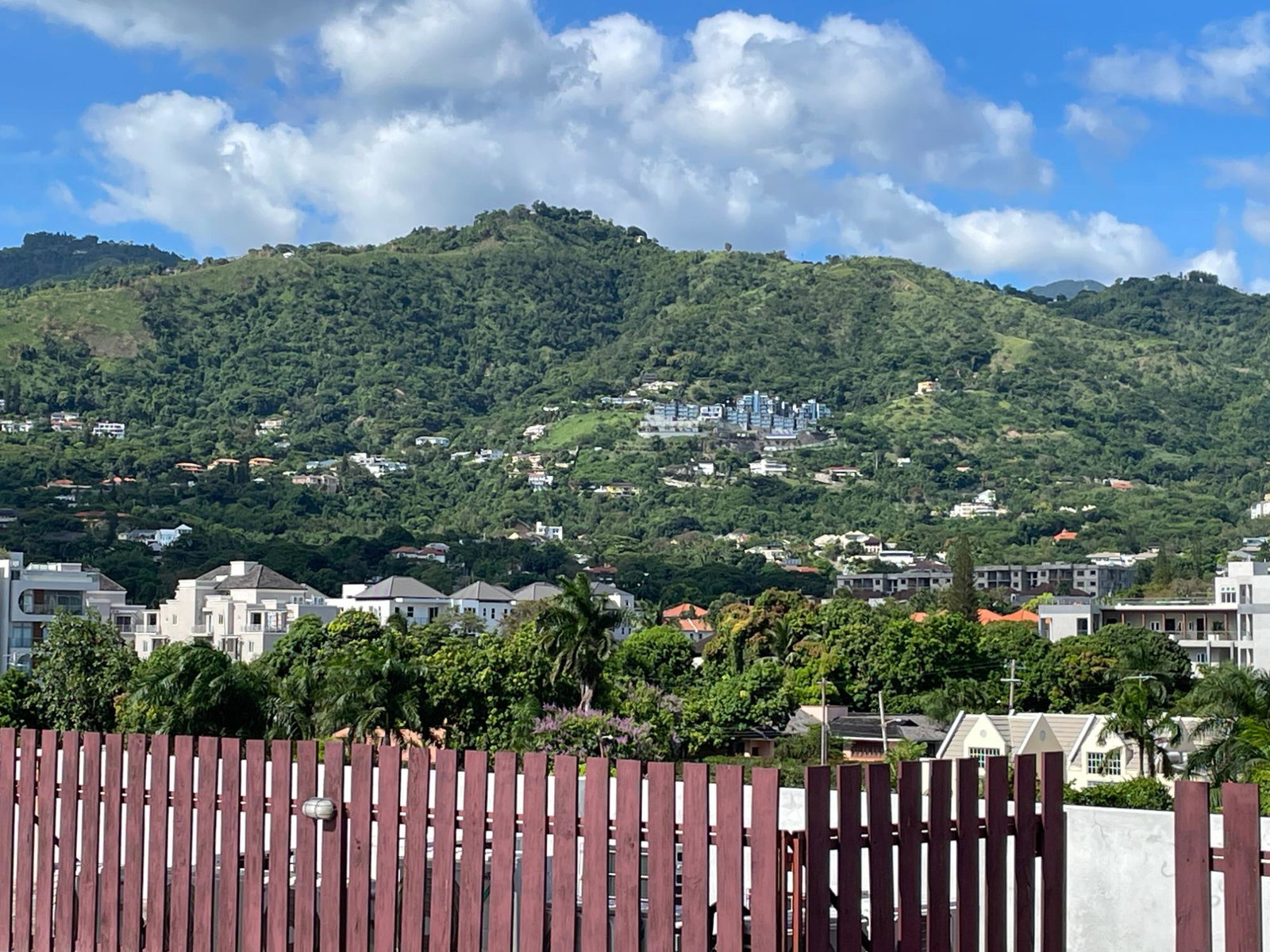 Twenty-Fourth image of 15-46 Paddington Terrace in Kingston 6, St. Andrew, Jamaica - property is For Rent
