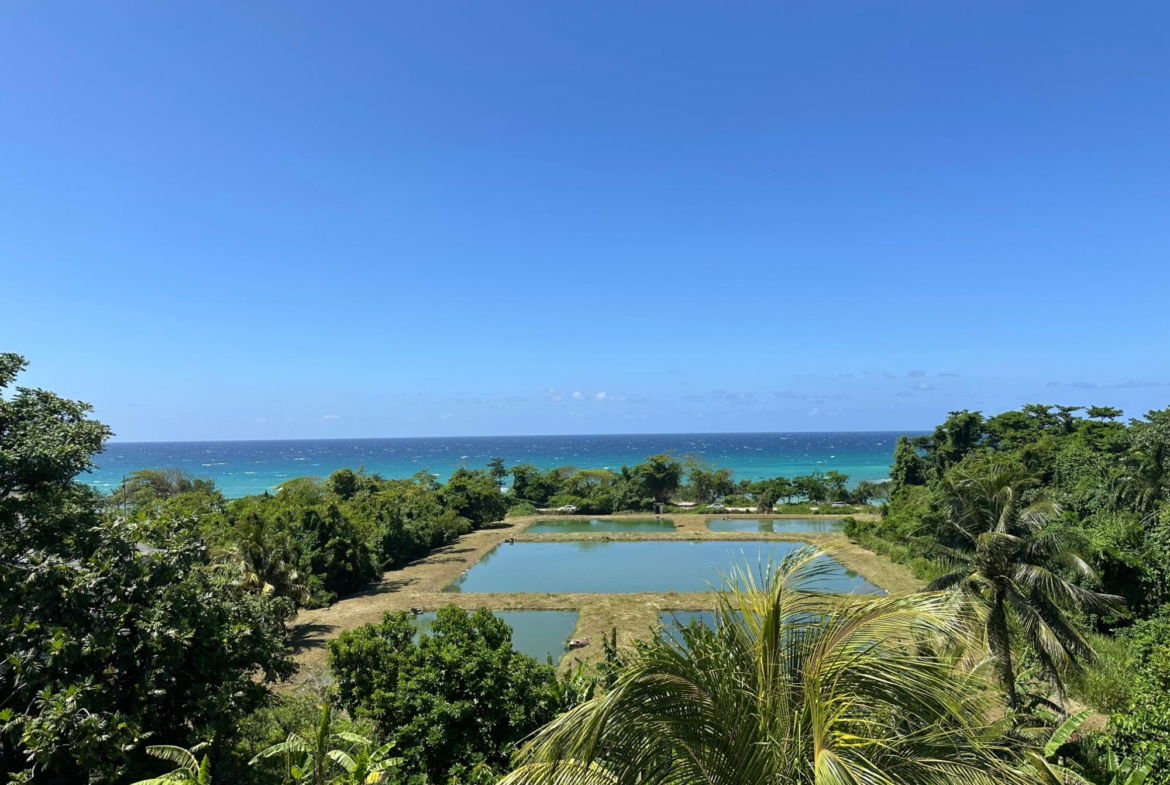 Twenty-Fifth image of 2-235 Tryall in Tryall Gardens, Hanover, Jamaica - property is For Rent