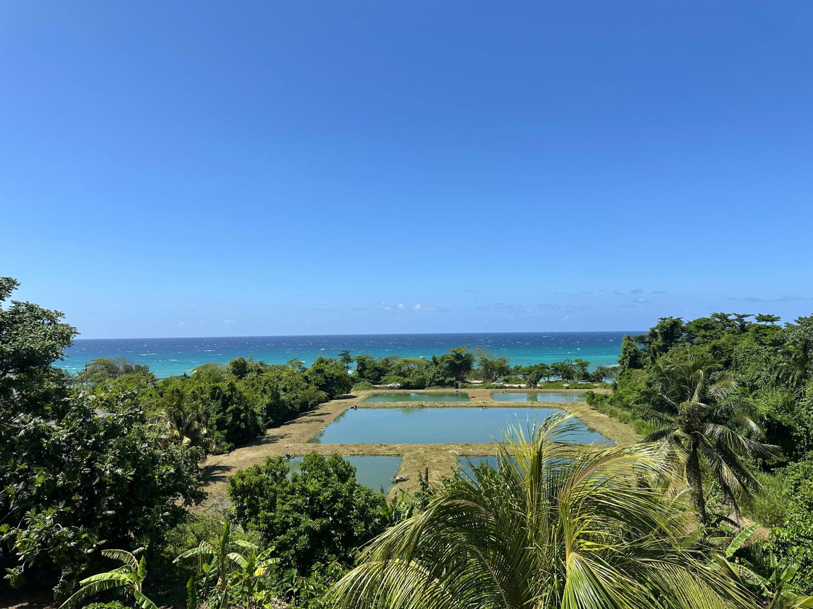 Twenty-Fifth image of 2-235 Tryall in Tryall Gardens, Hanover, Jamaica - property is For Rent