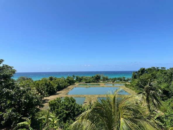 Twenty-Fifth image of 2-235 Tryall in Tryall Gardens, Hanover, Jamaica - property is For Rent
