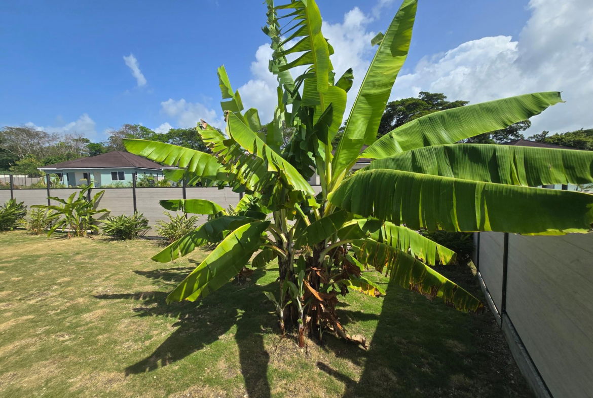 Twenty-Sixth image of Fairway Estate, St. Ann in Drax Hall Estate, St. Ann, Jamaica - property is For Rent