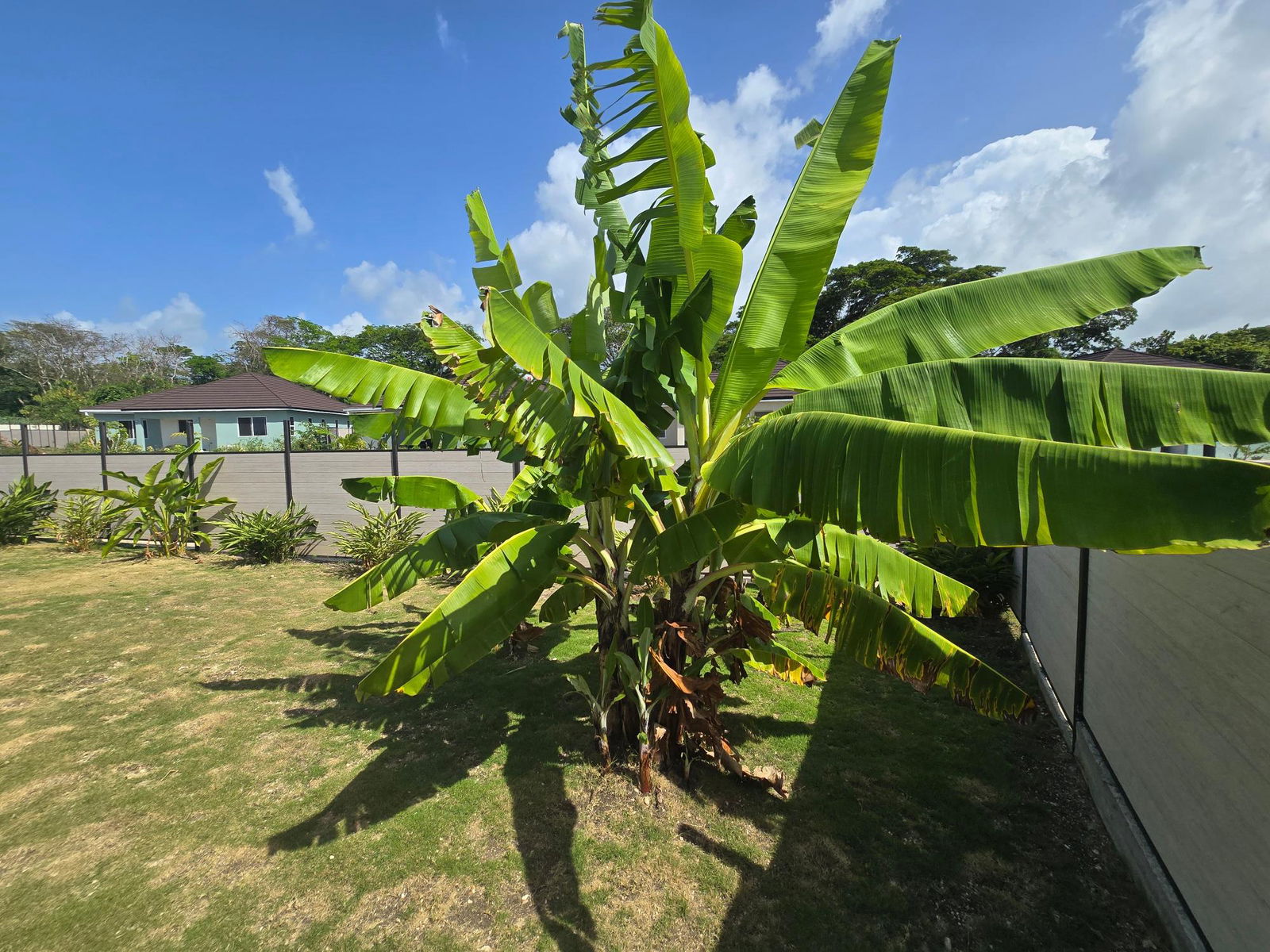 Twenty-Sixth image of Fairway Estate, St. Ann in Drax Hall Estate, St. Ann, Jamaica - property is For Rent